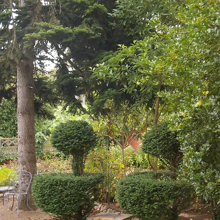 L'oustalet D'anicette לינה וארוחת בוקר Valence (Tarn-et-Garonne)